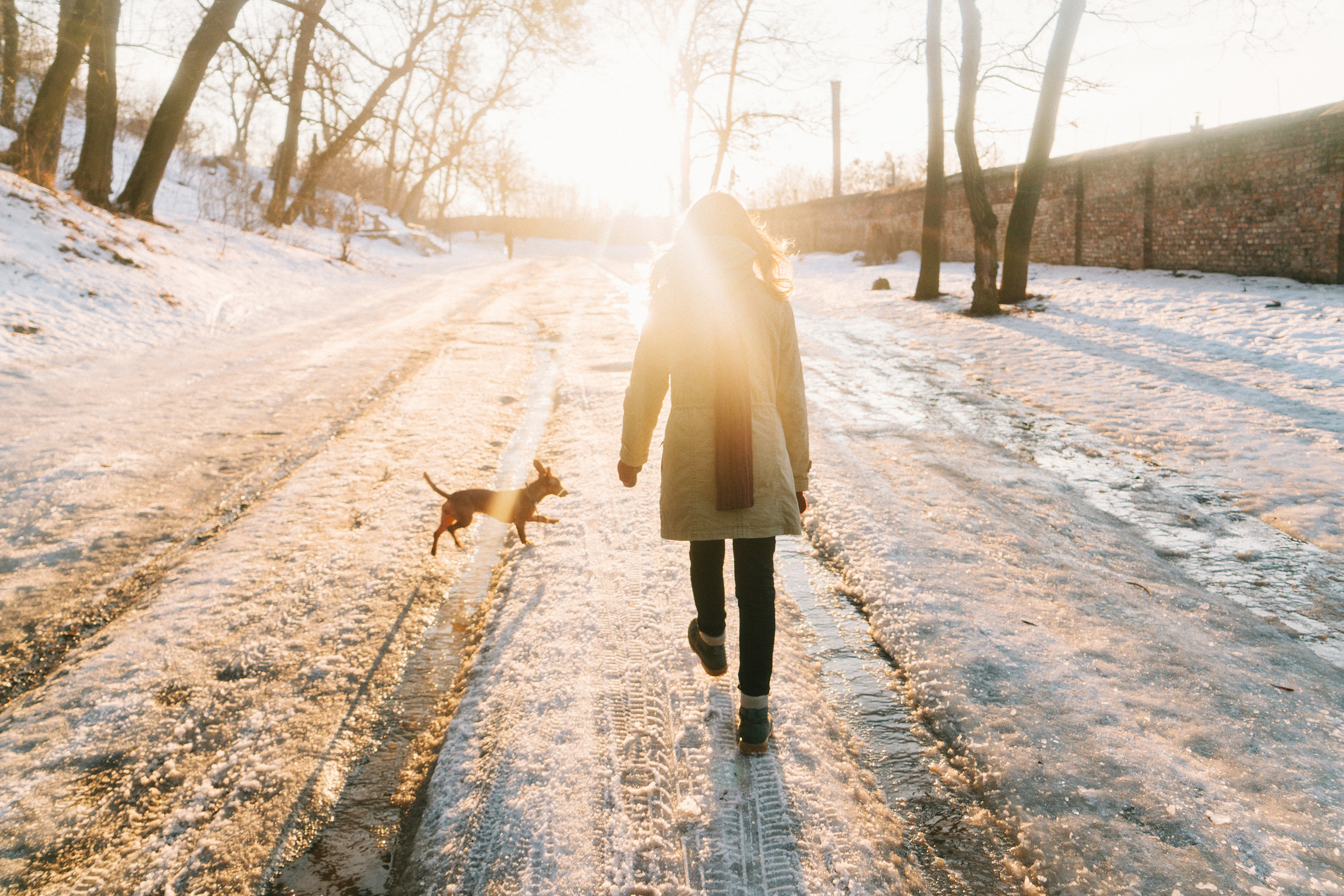 Nainen ja koira kulkevat lumista tietä pitkin selkä kameraan päin. Heidän kulkusuunnassaan on puita ja taiv...