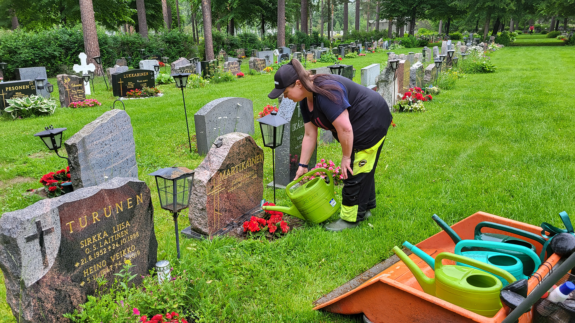 Kesätyöntekijä kastelee haudalle istutettuja kukkia. Vieressä on muita kastelukannuja.