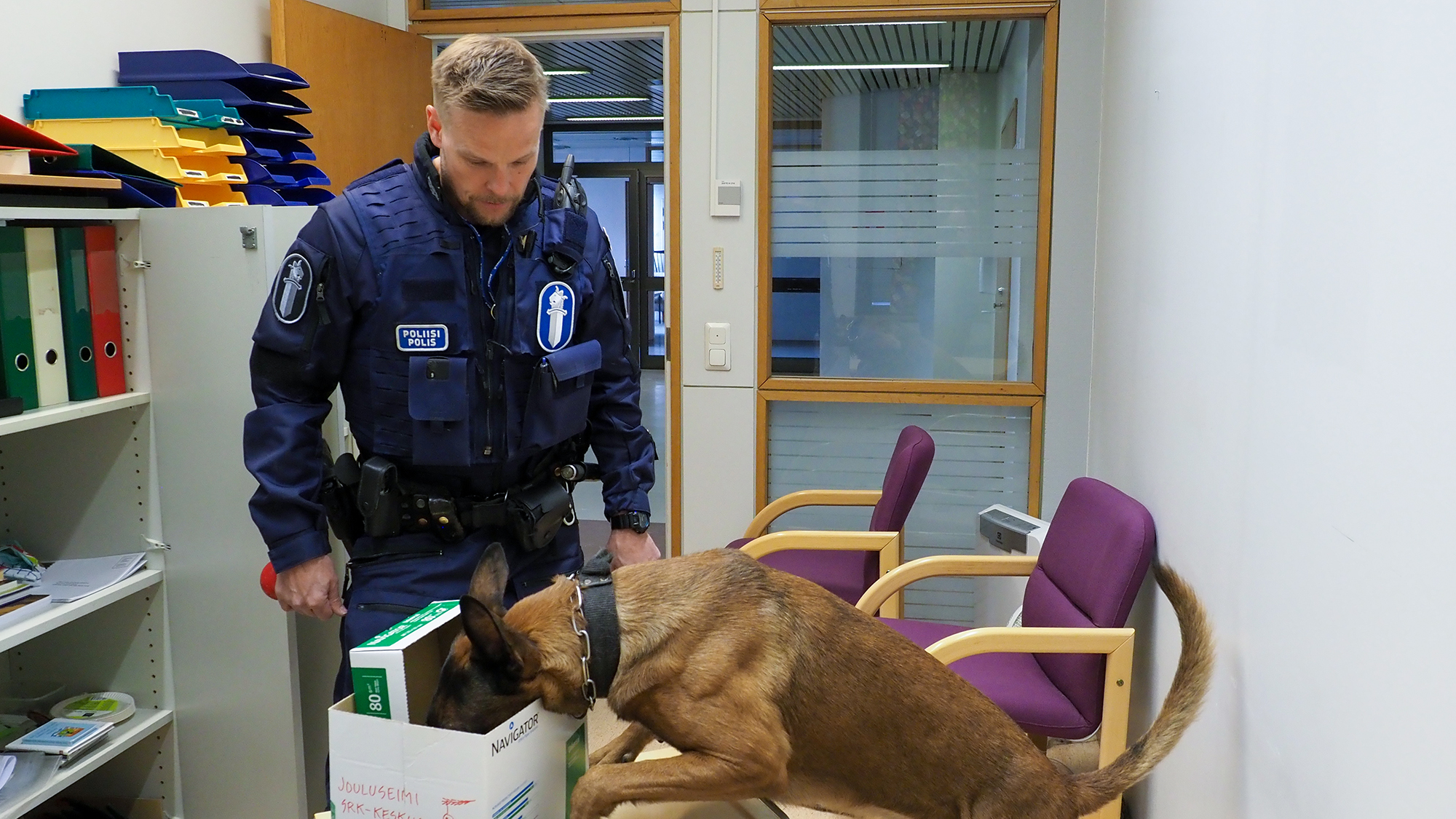 Petri Vuorman Jehu-koira tutkii pahvilaatikkoa Joensuun seurakuntakeskuksen työhuoneessa.