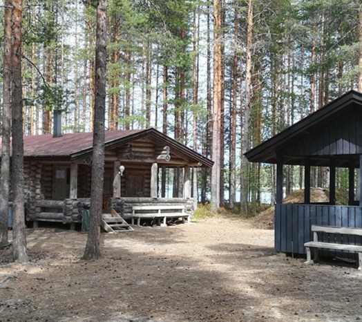 Kaksi hirsirakennusta mäntymetsässä.